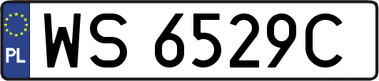 WS6529C