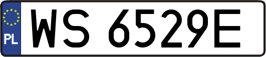WS6529E