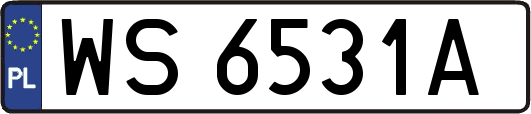 WS6531A