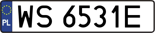 WS6531E