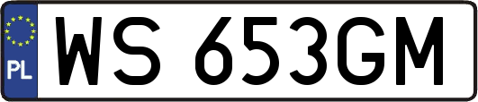 WS653GM