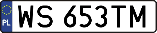 WS653TM
