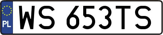 WS653TS