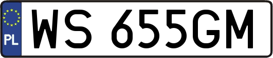 WS655GM