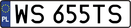 WS655TS