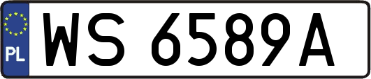 WS6589A