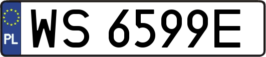 WS6599E