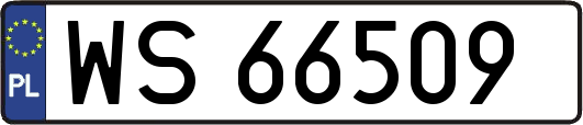 WS66509