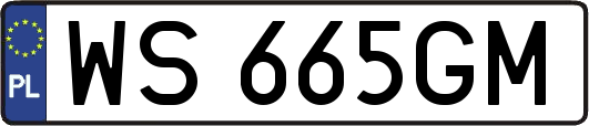 WS665GM
