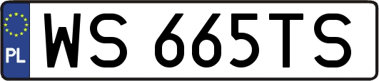 WS665TS