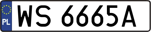 WS6665A