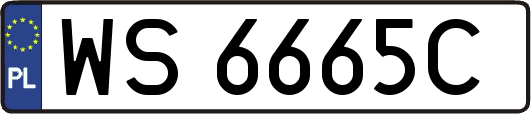 WS6665C