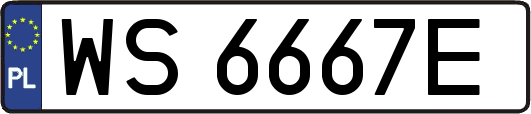 WS6667E