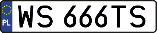 WS666TS