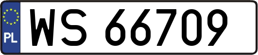 WS66709