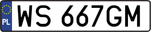 WS667GM