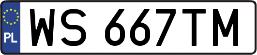 WS667TM