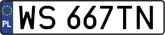 WS667TN