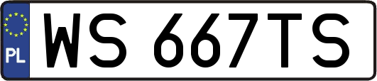 WS667TS