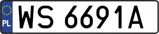 WS6691A