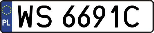 WS6691C