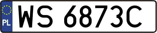 WS6873C