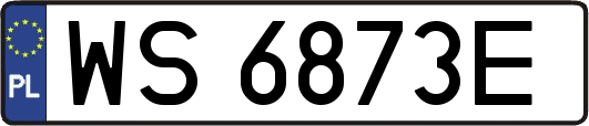 WS6873E