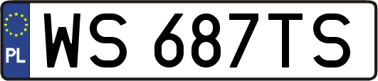 WS687TS