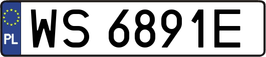 WS6891E