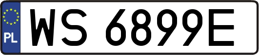 WS6899E