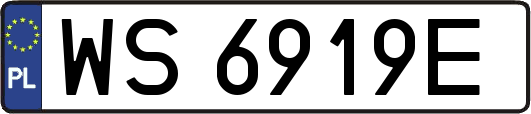 WS6919E