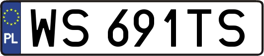 WS691TS