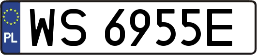 WS6955E