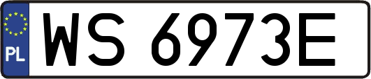 WS6973E