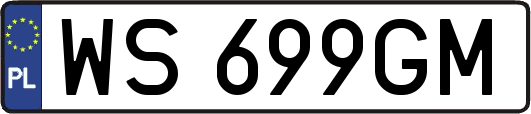 WS699GM
