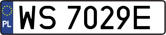 WS7029E