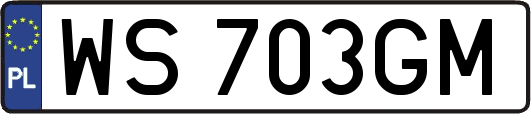 WS703GM