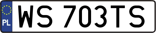 WS703TS