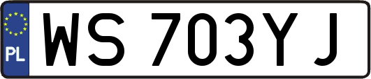 WS703YJ