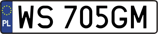 WS705GM