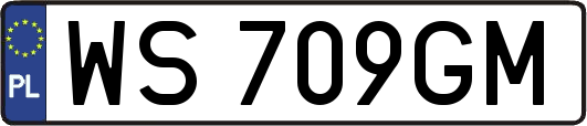 WS709GM