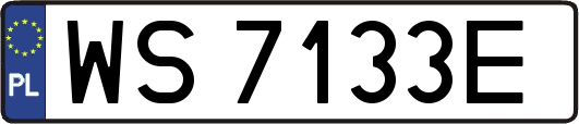 WS7133E