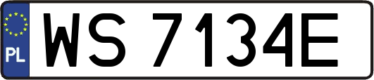WS7134E