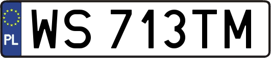 WS713TM