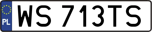 WS713TS