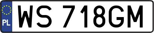WS718GM