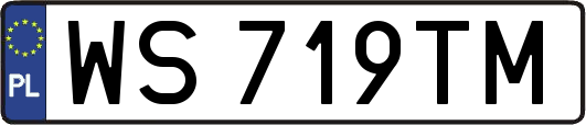 WS719TM