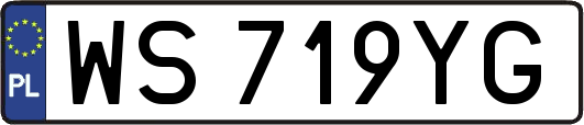 WS719YG