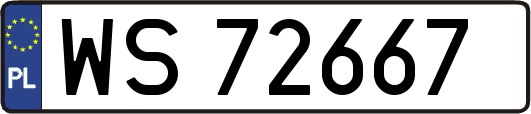 WS72667