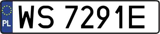 WS7291E